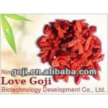 Baie de Goji